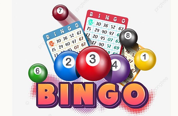 Có thể chơi Bingo ở đâu?