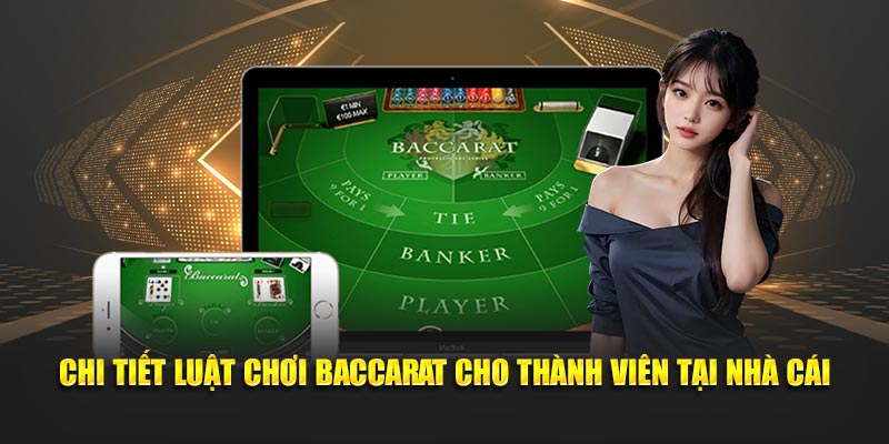Chi tiết luật những yêu cầu và quy định cơ bản thành viên cần nắm rõ