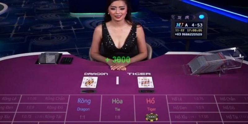 Chia sẻ kinh nghiệm thắng lớn khi chơi rồng hổ 888B trực tuyến